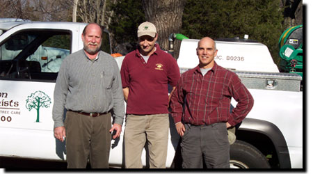 About Us - Weston Arborists