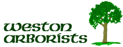 Weston arborists logo